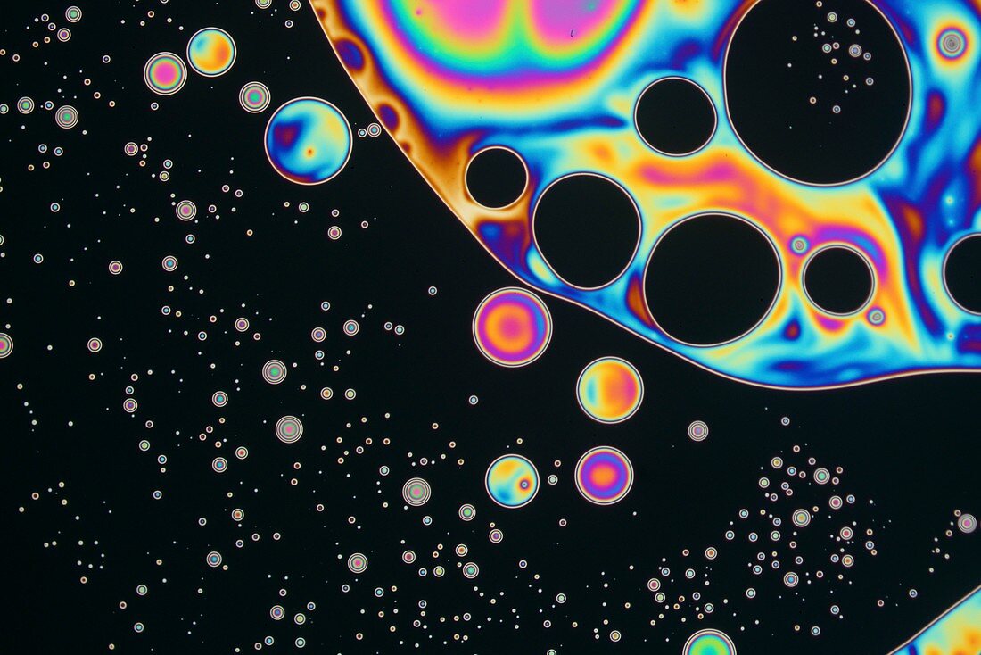 Soap film, reflected light micrograph