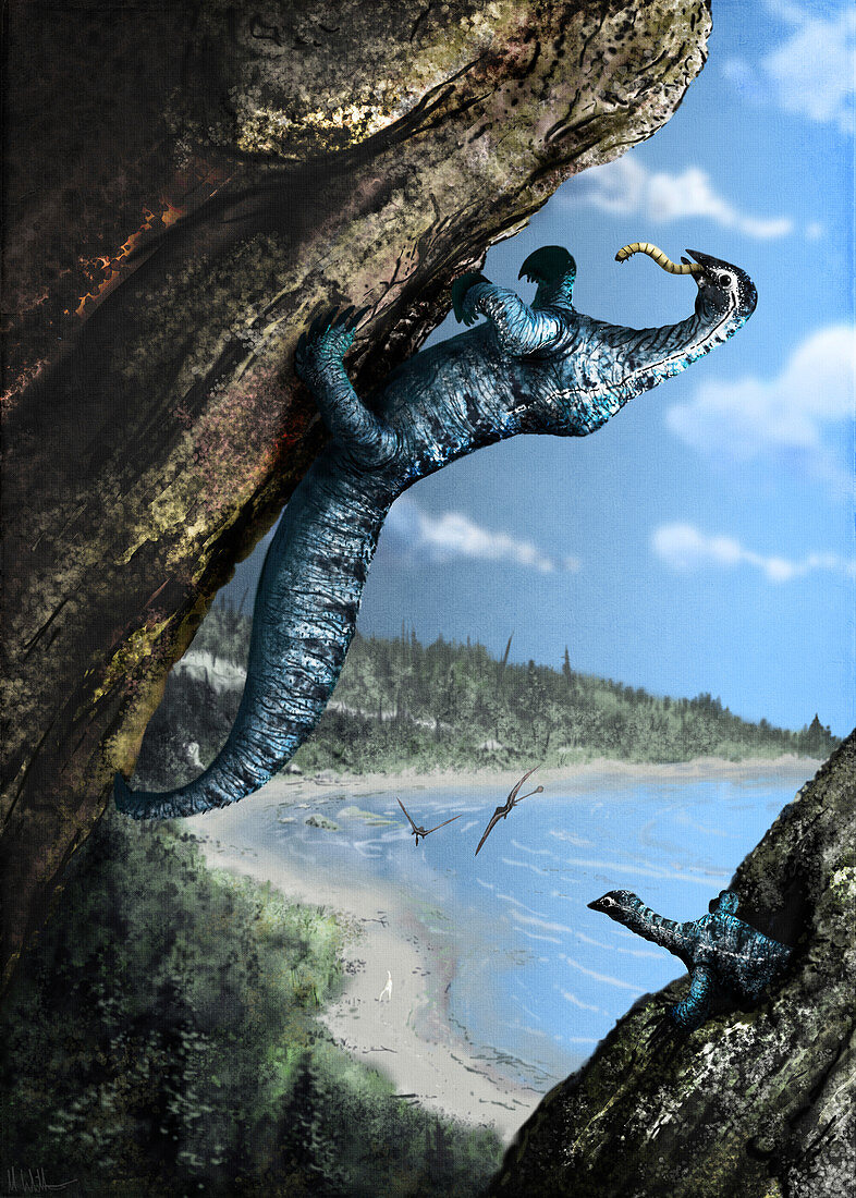 Drepanosaurus dinosaur, illustration