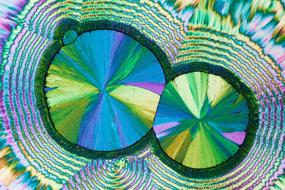 Ferrous sulphate, polarised light micrograph