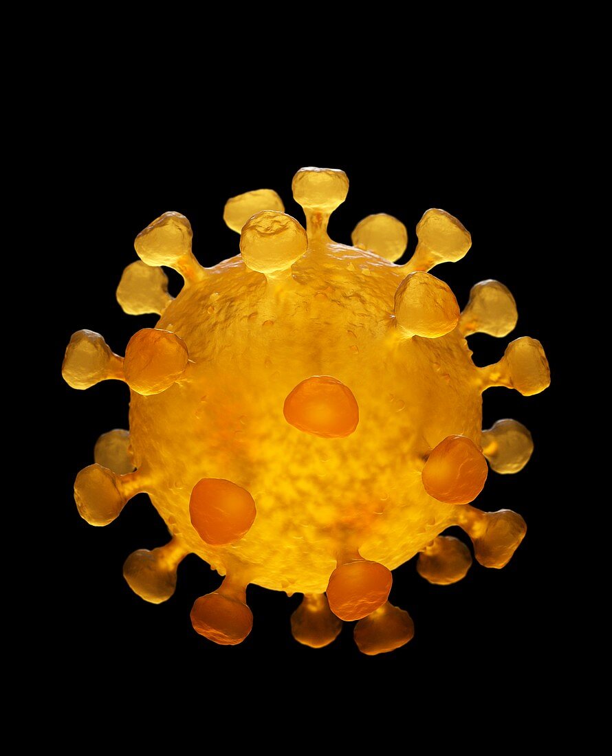 Covid 19 coronavirus illustration.