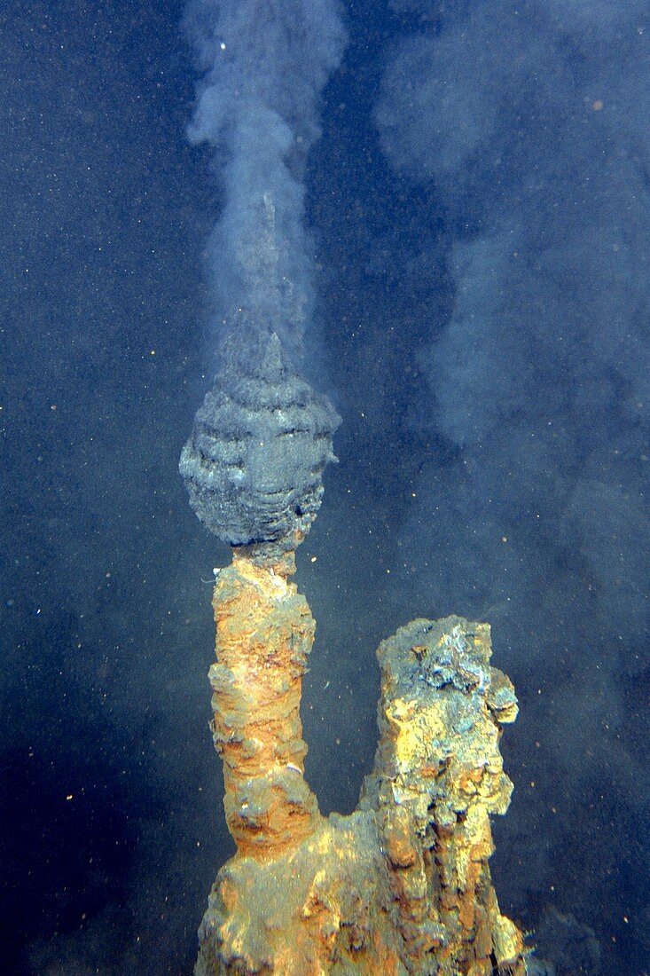 Black smoker hydrothermal vent