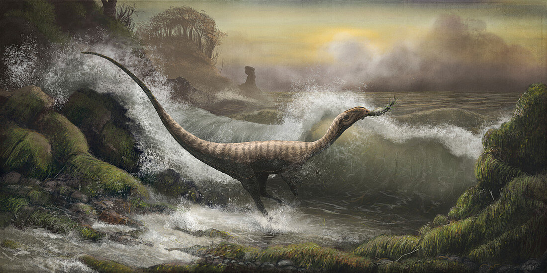 Sarcosaurus dinosaur hunting fish, illustration
