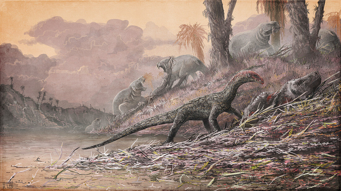 Teleocrater archosaur feeding, illustration