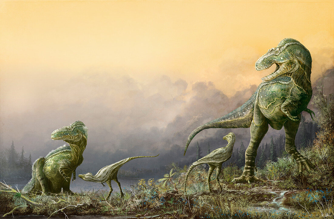 Teratophoneus dinosaur family, illustration