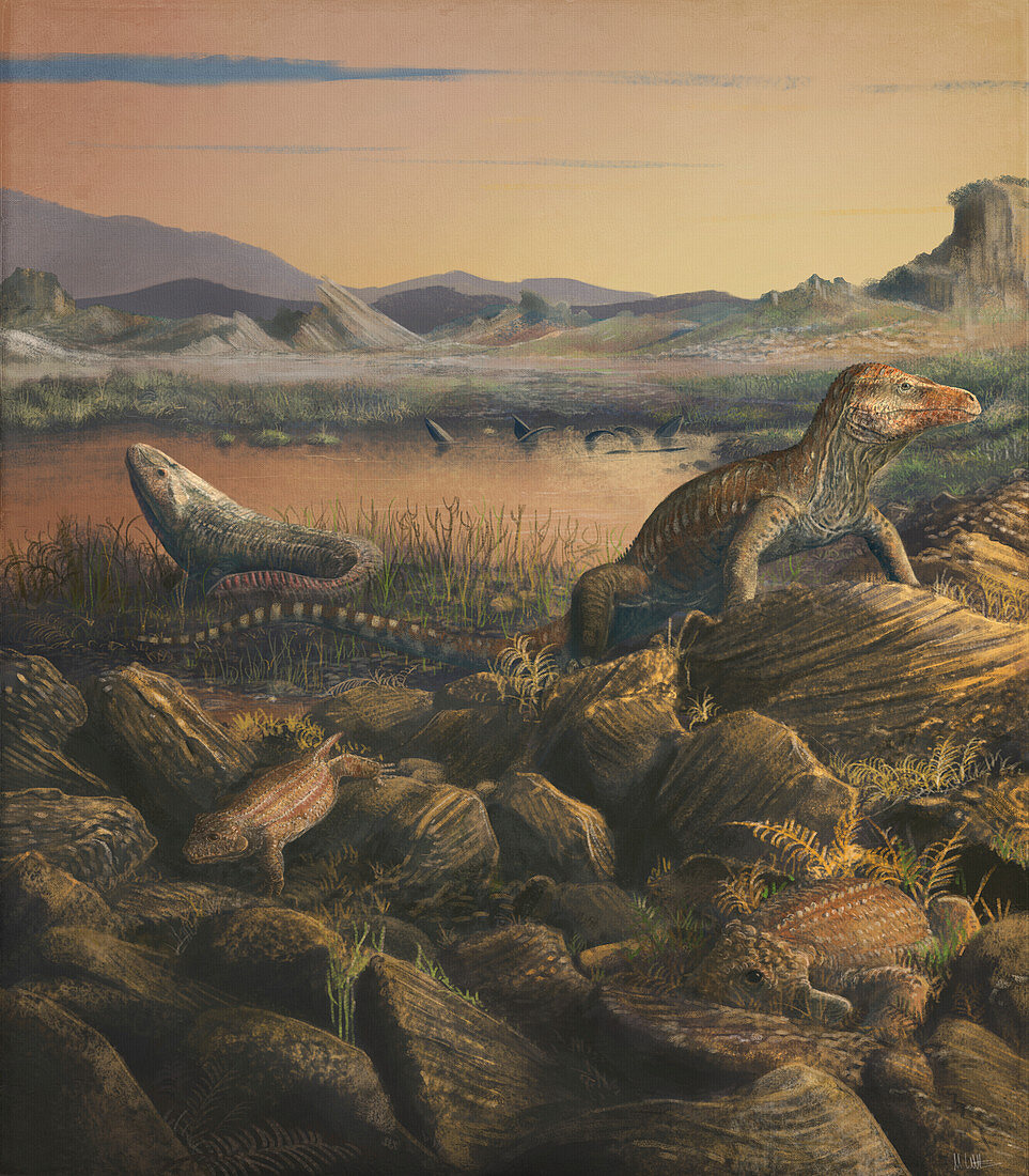 Teyujagua prehistoric reptiles, illustration