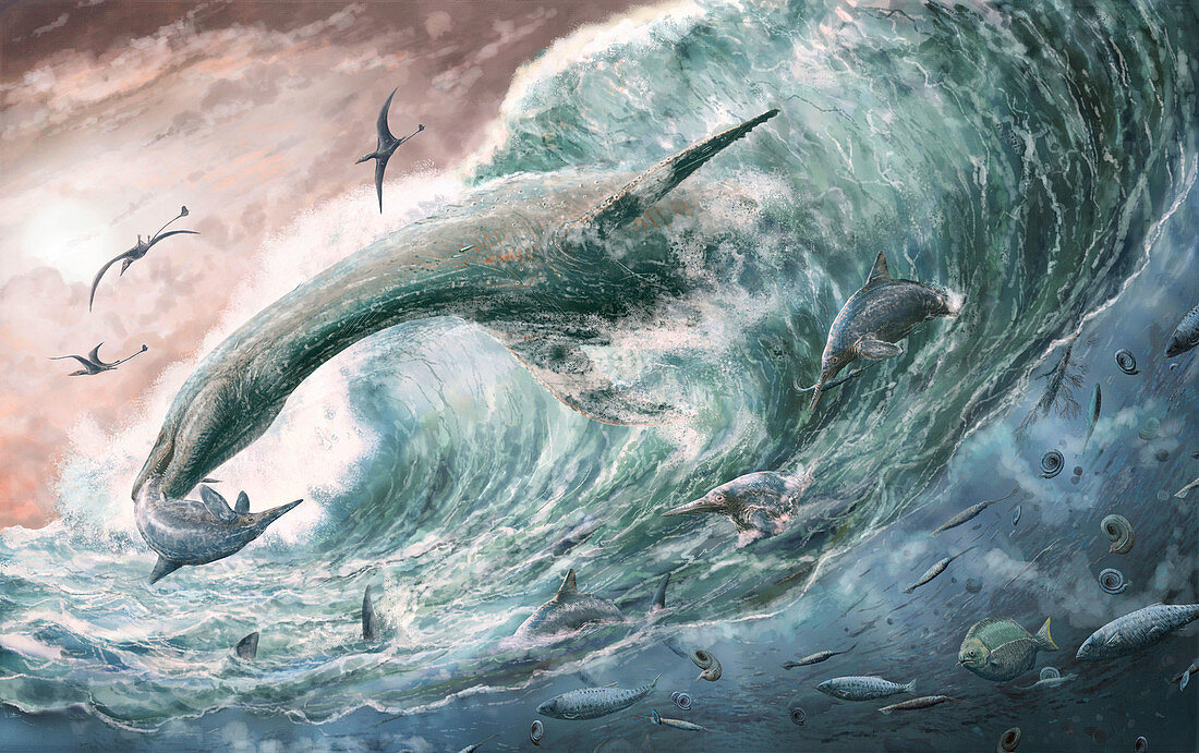 Jurassic marine life, illustration