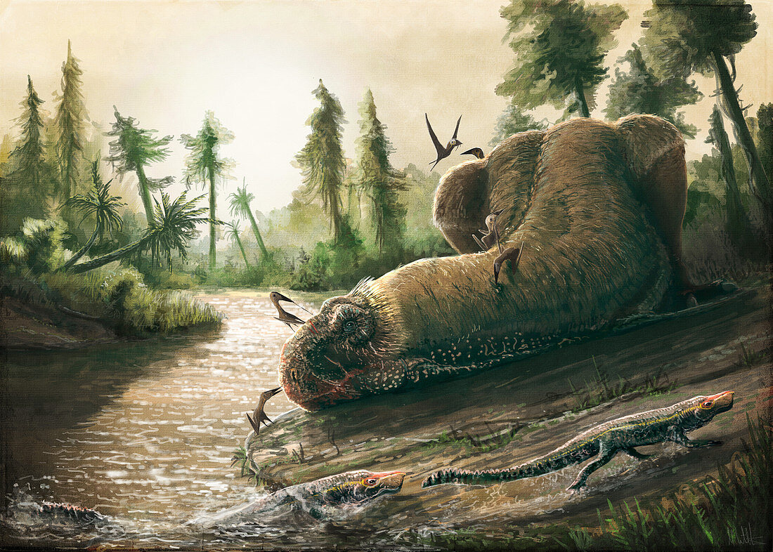 Kryptops dinosaur carcass, illustration