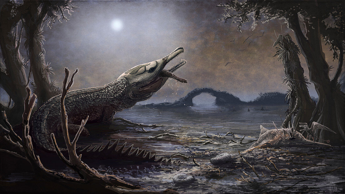 Lemmysuchus prehistoric crocodyliform, illustration