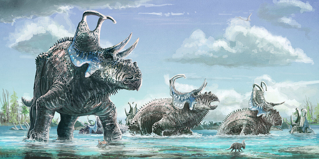Machairoceratops dinosaurs, illustration