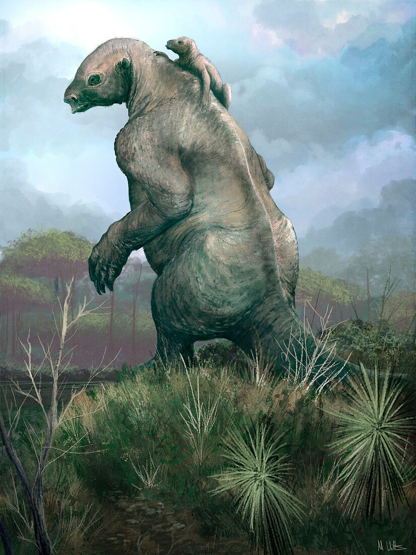 Giant ground sloth, illustration