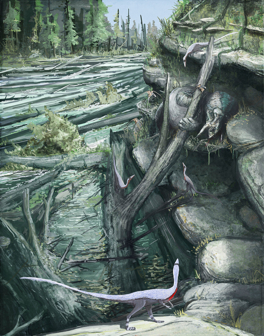 Coelophysis dinosaurs surrounding Placerias, illustration