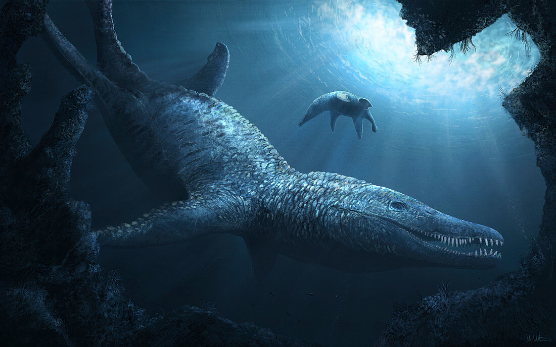 Pliosaurus marine reptile, illustration