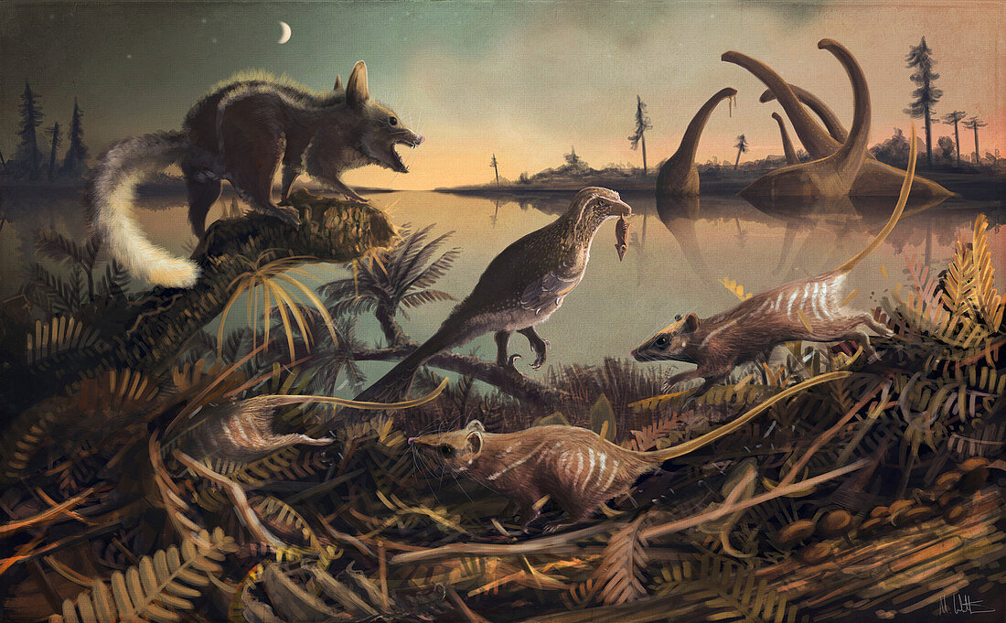 Prehistoric mammals, illustration