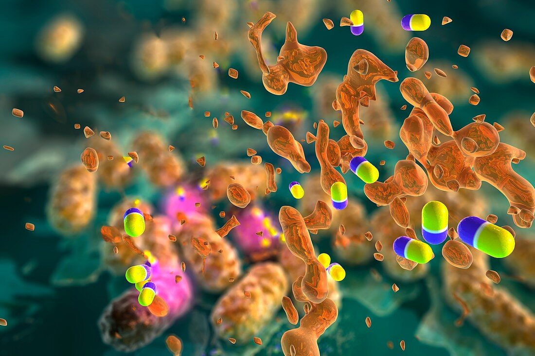 Drug resistant bacteria, conceptual illustration