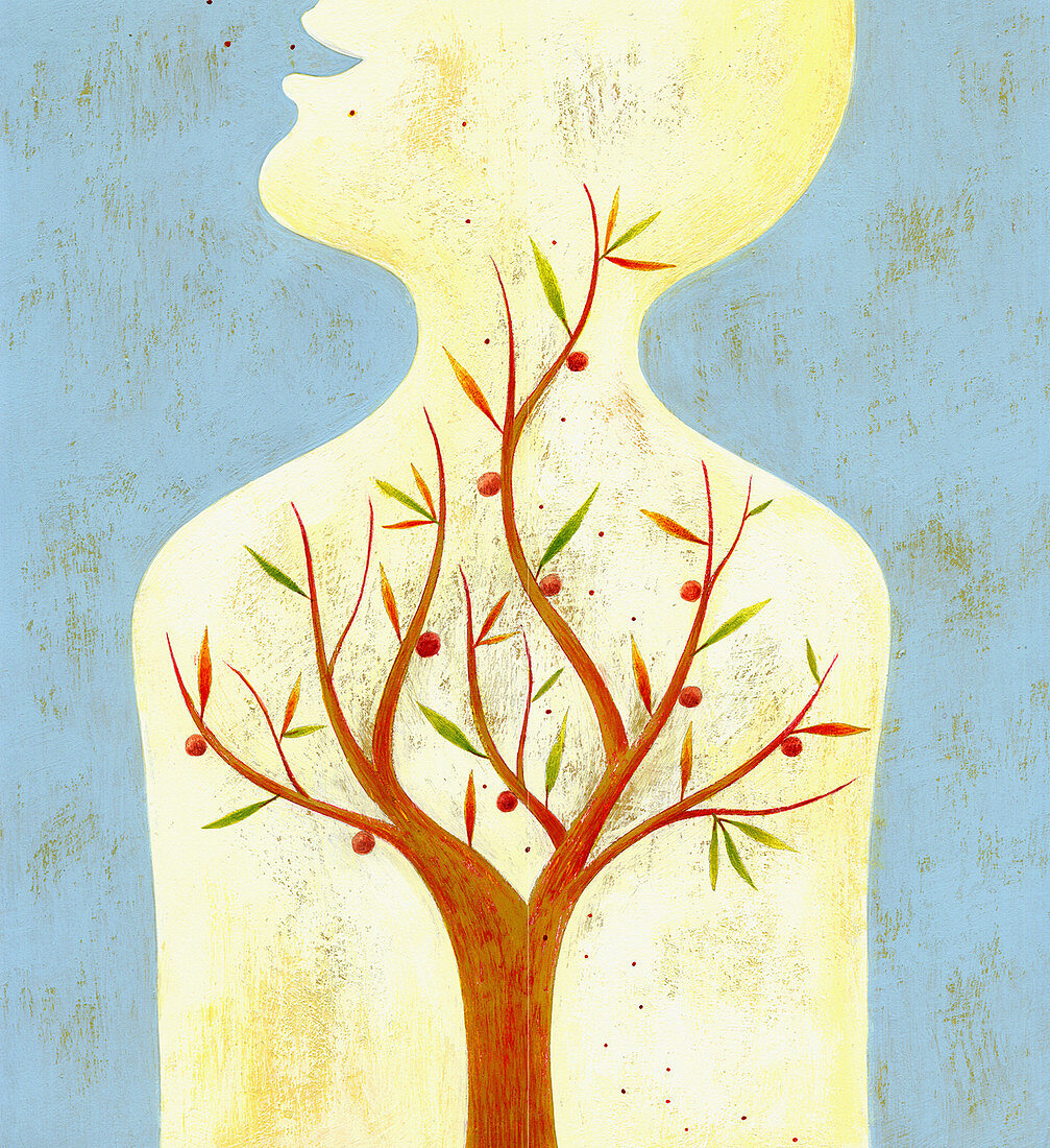Fruit tree growing inside of human body, illustration
