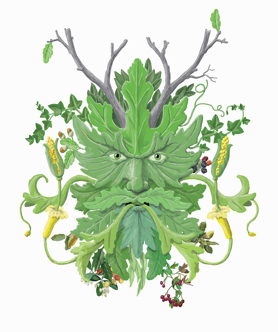Green man, illustration