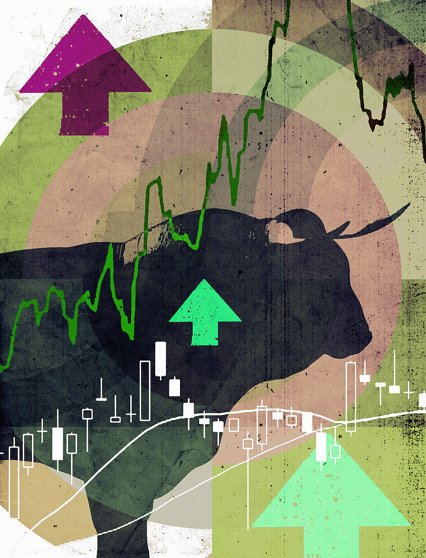 Bull market, illustration
