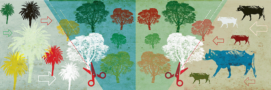 Pressure on forest from agriculture, illustration