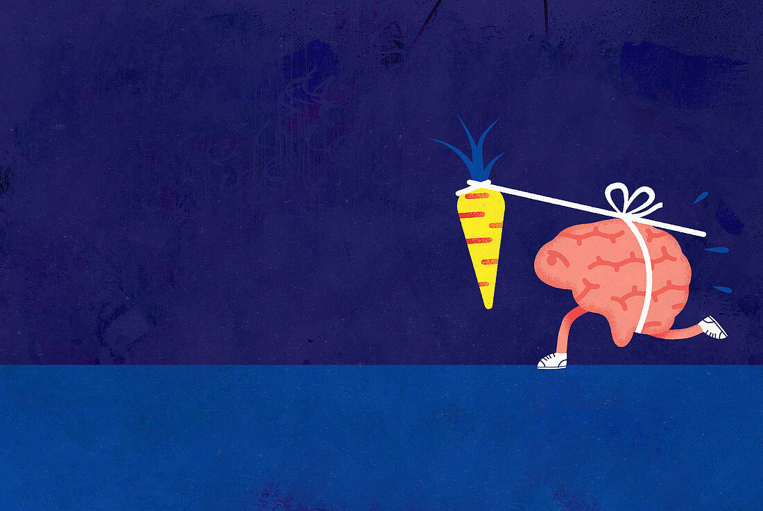 Brain chasing dangling carrot on a stick, illustration