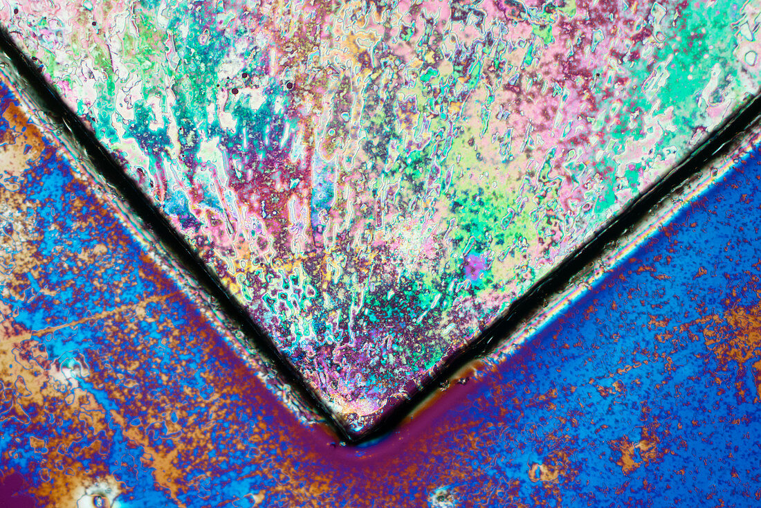 Liquid crystal, polarised light micrograph