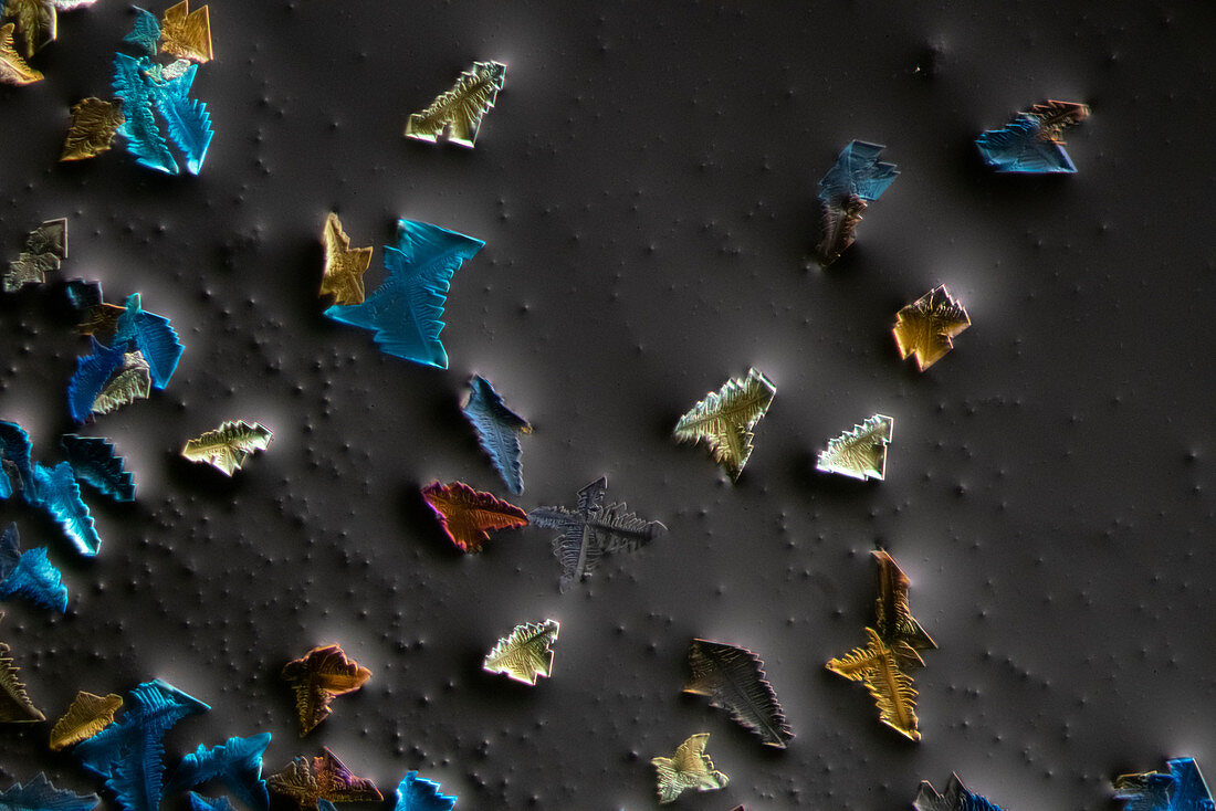 Hydrated sulphates and nickel nitrate, light micrograph