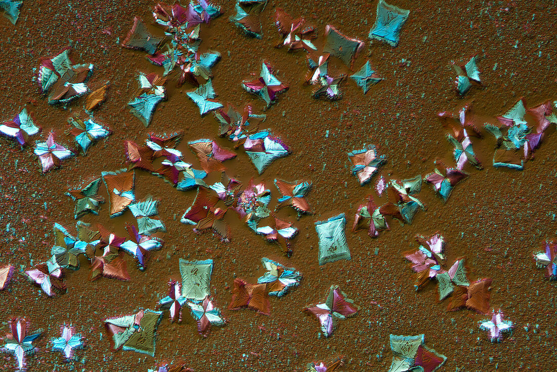 Crystals of a mixture of salts, polarised light micrograph