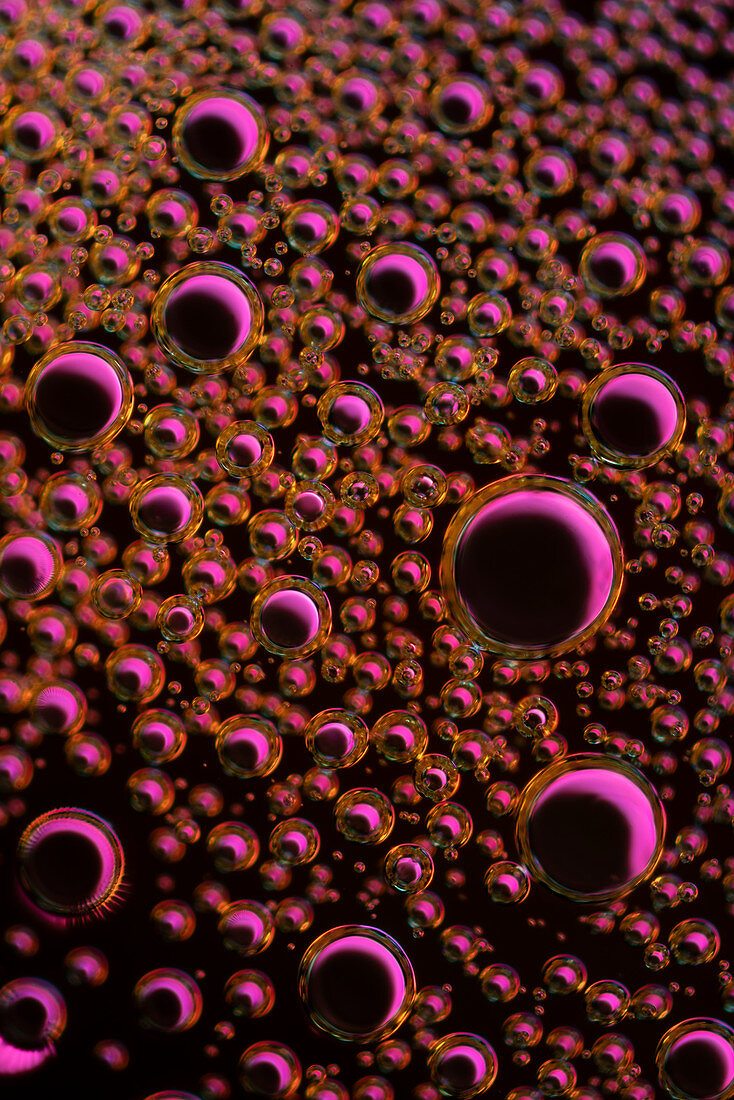 MSG and sweetener, polarised light micrograph