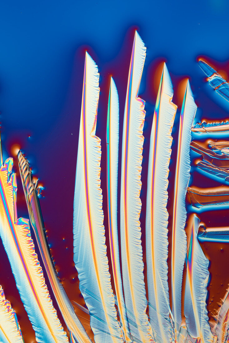 Lithium chloride, light micrograph