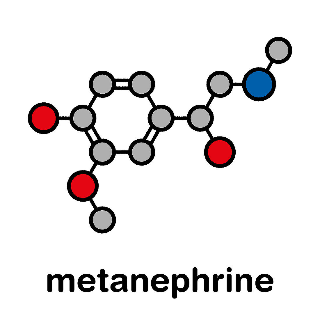 Metanephrine molecule, illustration
