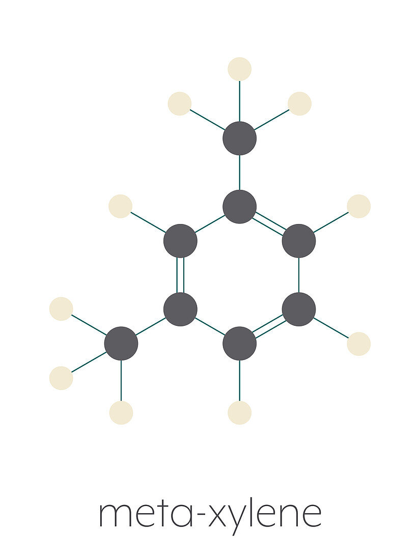 Meta-xylene aromatic hydrocarbon molecule, illustration