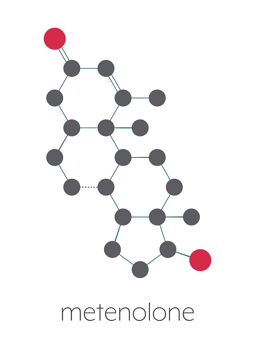 Metenolone anabolic steroid molecule, illustration
