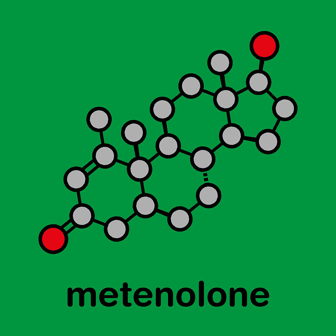 Metenolone anabolic steroid molecule, illustration