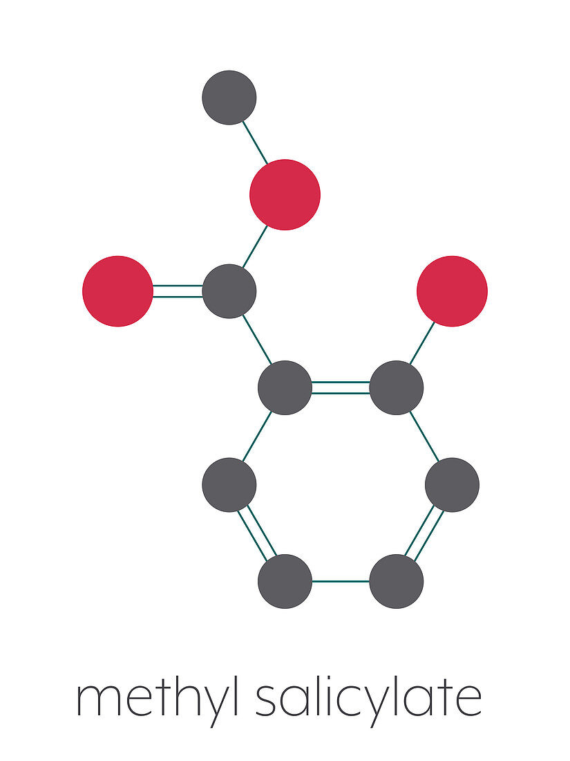 Methyl salicylate molecule, illustration
