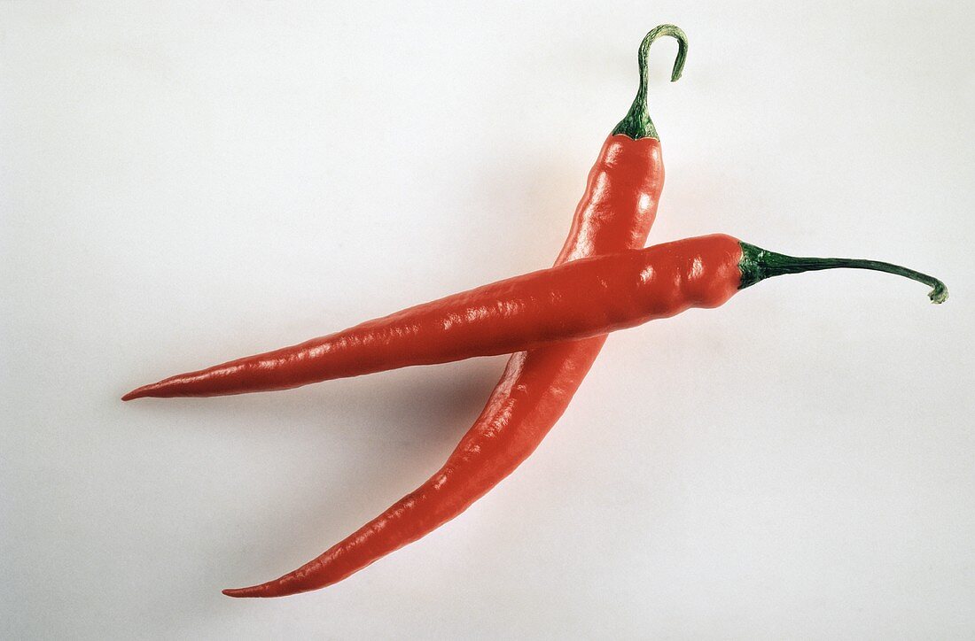 Two Red Chili Peppers