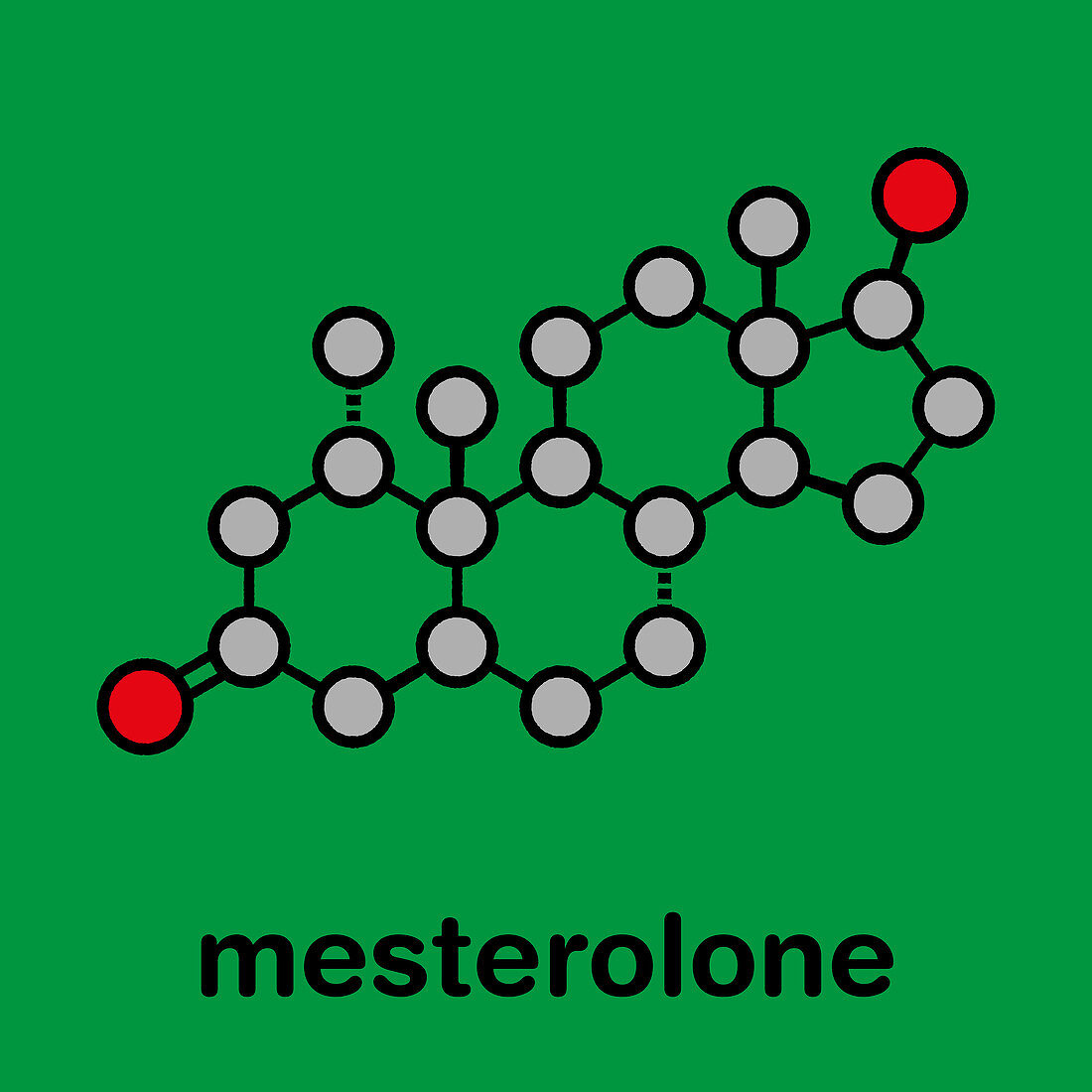 Mesterolone androgen molecule, illustration