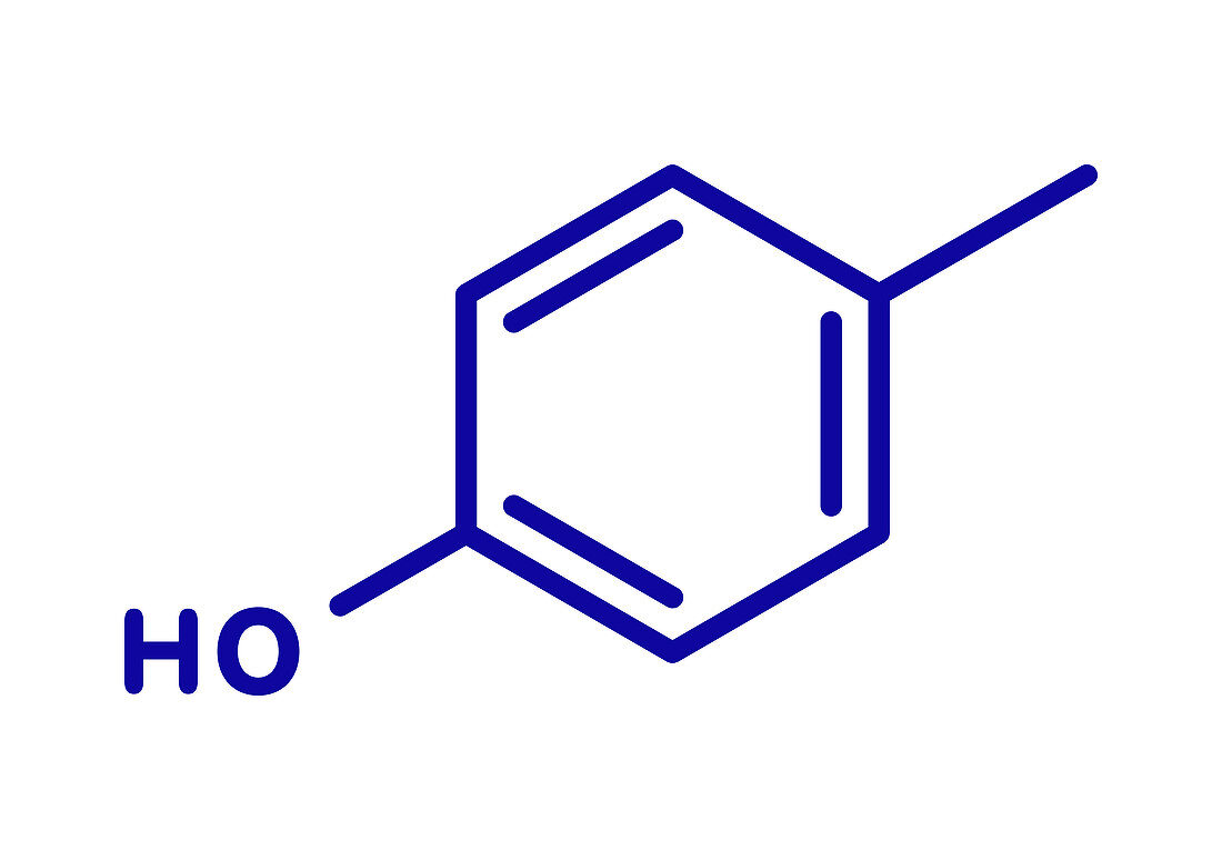 P-cresol molecule, illustration