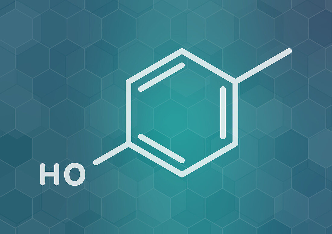 P-cresol molecule, illustration