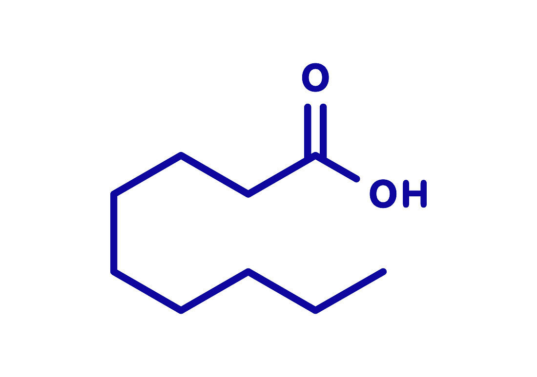 Nonanoic acid molecule, illustration