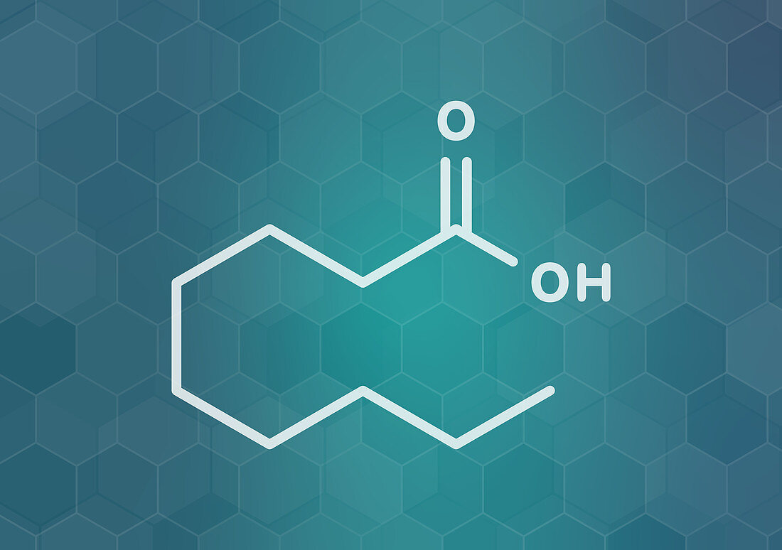 Nonanoic acid molecule, illustration