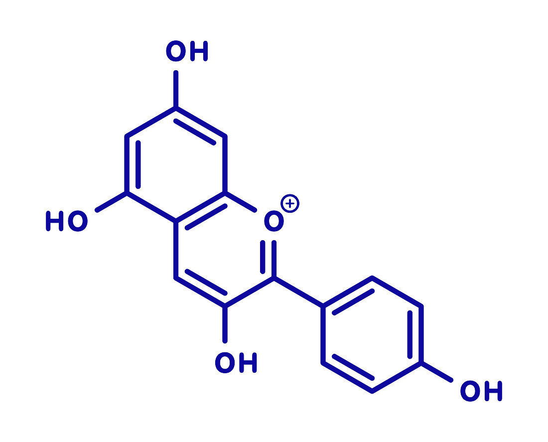 Pelargonidin pigment molecule, illustration