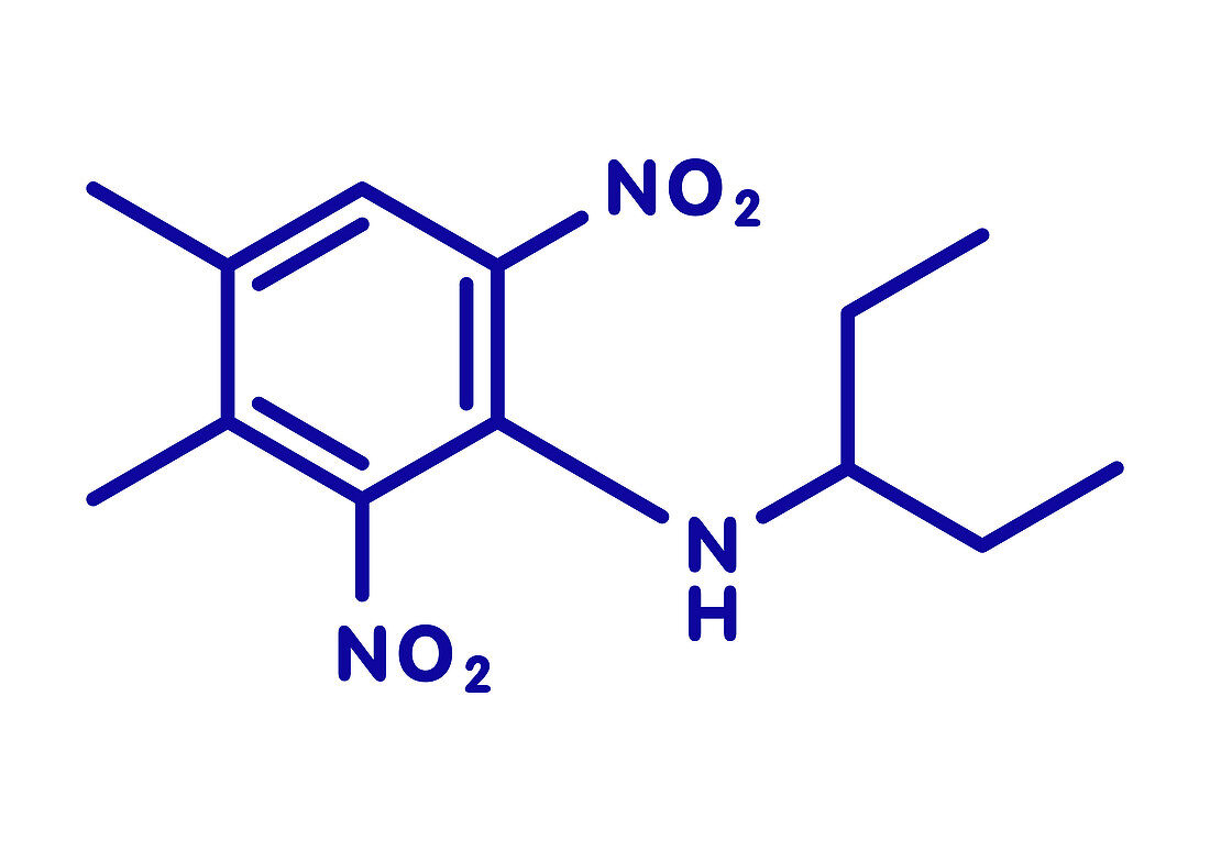 Pendimethalin herbicide molecule, illustration