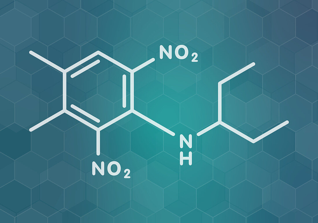 Pendimethalin herbicide molecule, illustration