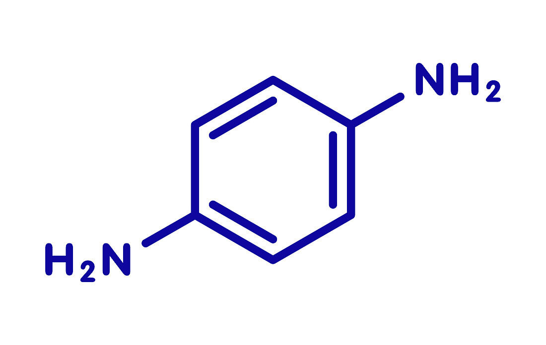 p-Phenylenediamine hair dye molecule, illustration