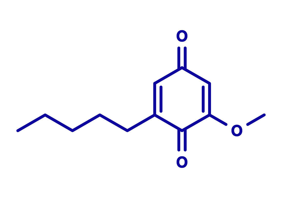 Primin primrose plant allergen molecule, illustration