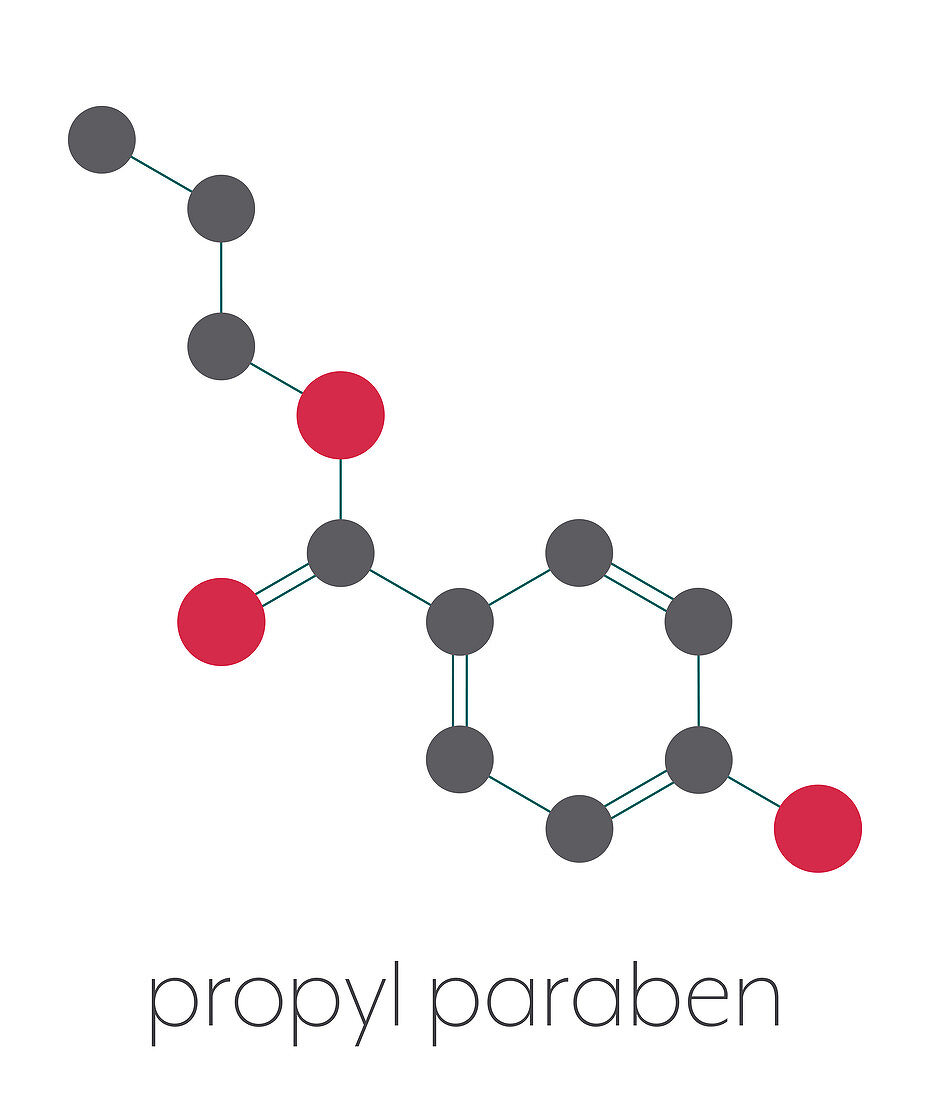 Propyl paraben preservative molecule, illustration