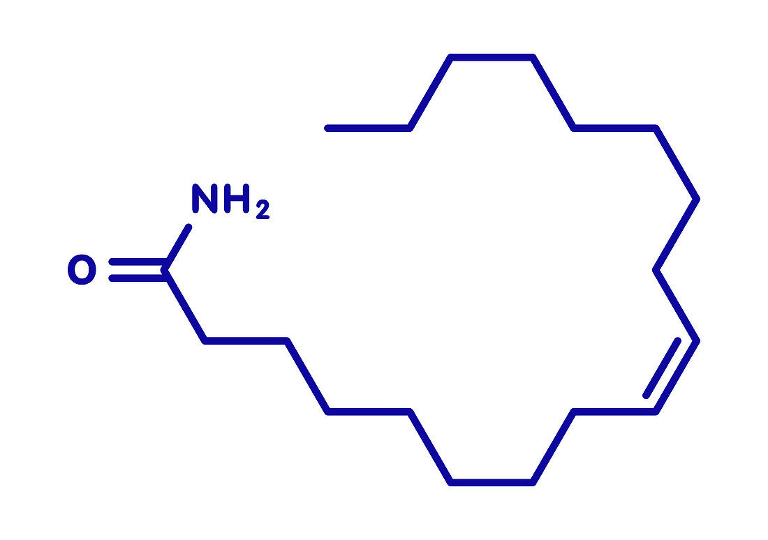 Oleamide molecule, illustration