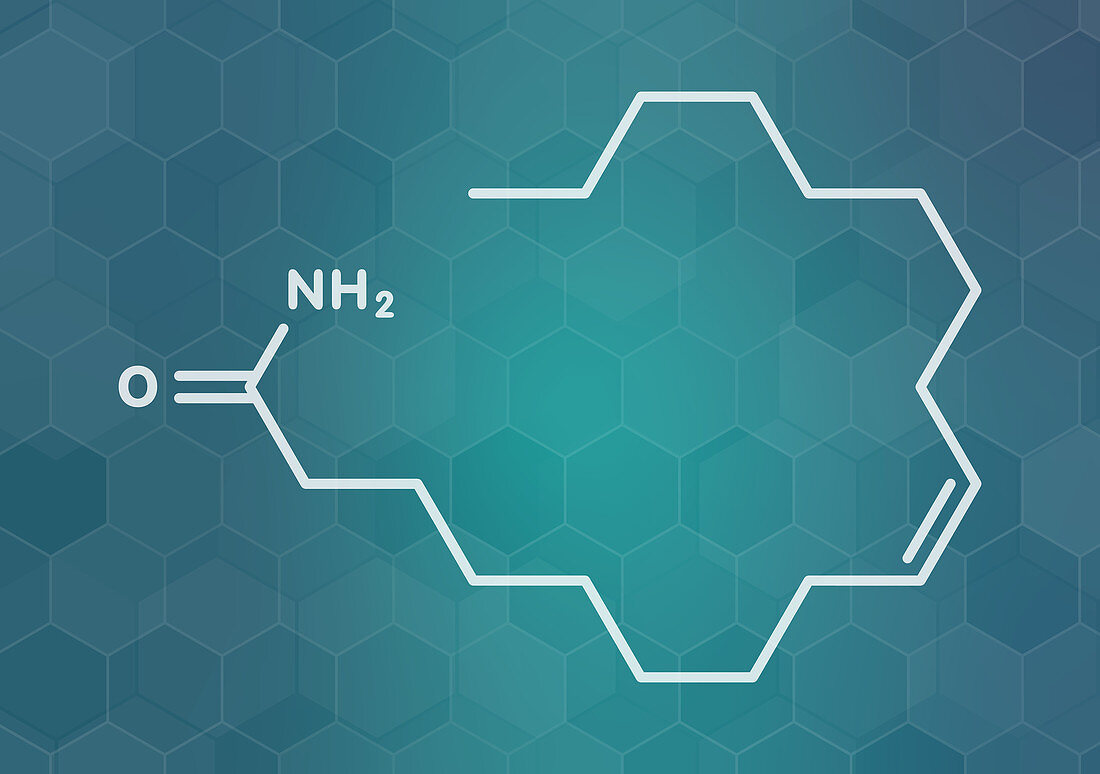 Oleamide molecule, illustration