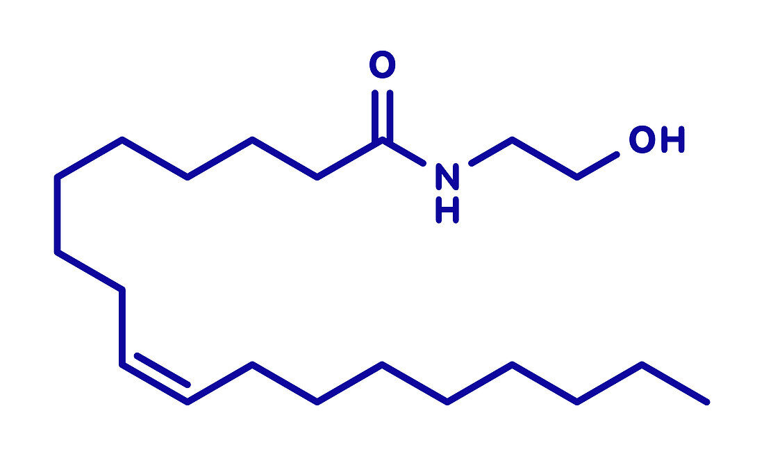 Oleoylethanolamide molecule, illustration
