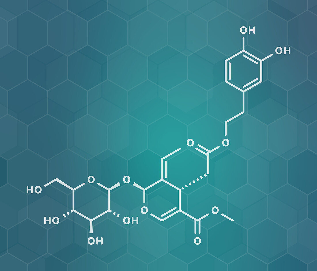 Oleuropein olive component molecule, illustration