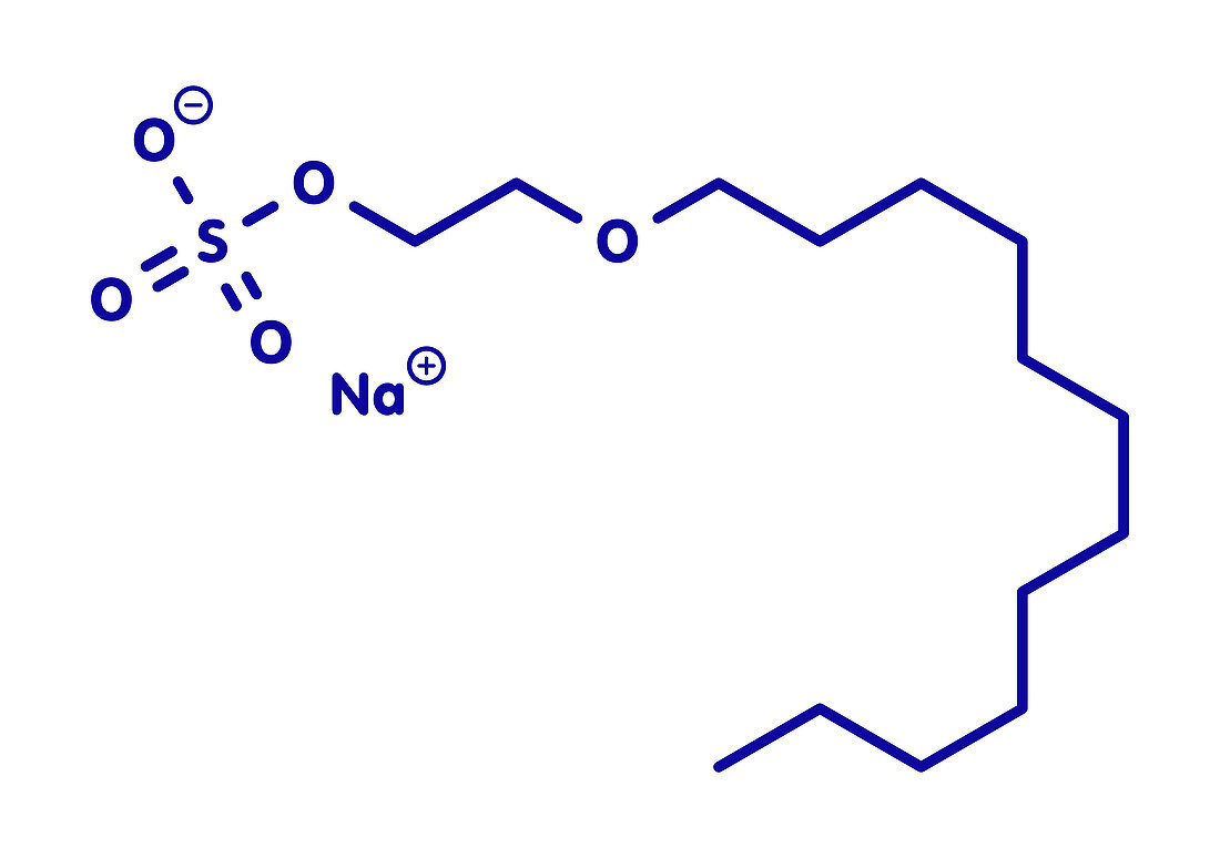Sodium laureth sulphate detergent molecule, illustration